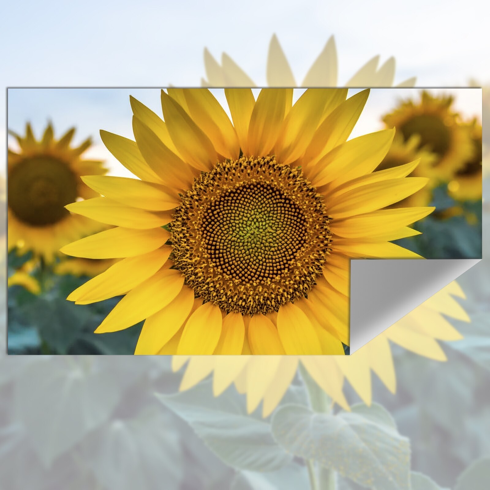 Tela de projeção Tecido Reflet - Projector Screen 100 Inch avaliação e preço